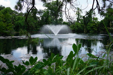 Gorgeous scenery at a local park in New Orleans on a summer day.