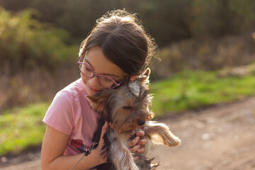 Little girl playing with Yorkshire Terrier dog in the park at sunset