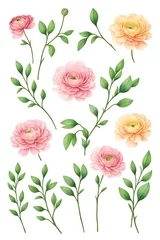 Fototapeten Ranunculus flower. Floral frame wreath of pink ranunculus flower buds and eucalyptus on white background. Flat lay, top view mockup. Frame of flowers. Generative AI.  © 360VP