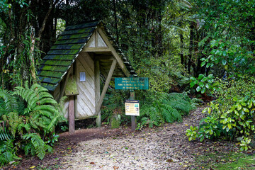 Fototapeta na wymiar Start of the Kaituna Track in Kahurangi National Park.