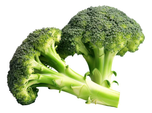 Fresh broccoli isolated.