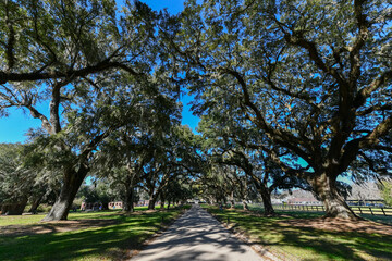 Boone Hall Plantation