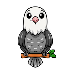 Cute roseicollis opaline malva love bird cartoon on tree branch