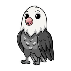 Cute roseicollis opaline malva love bird cartoon