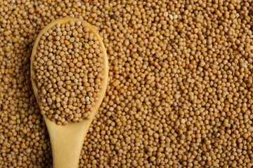 Mustard seeds and wooden spoon as background, top view. Space for text