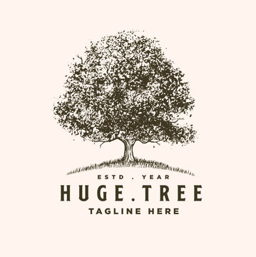 Oak tree familly huge tree vintage logo design template illustration