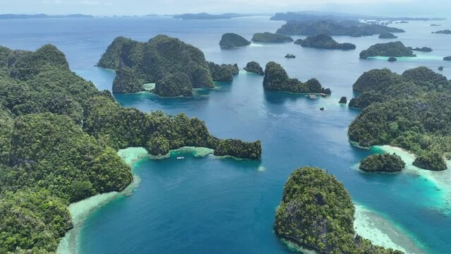 Dramatic limestone islands, eroded over millions of years, rise from Raja Ampat's seascape. This area of eastern Indonesia is known for its spectacular marine biodiversity.