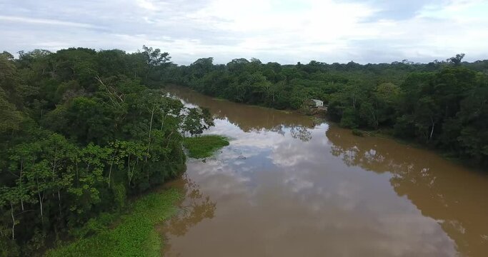 Larger River Between a Lot of Vegetation in the Amazon Rainforest in Pando, Bolivia