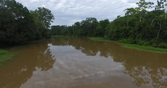 Larger River Between a Lot of Vegetation in the Amazon Rainforest in Pando, Bolivia
