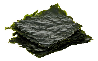 Sheet of dried seaweed isolated.