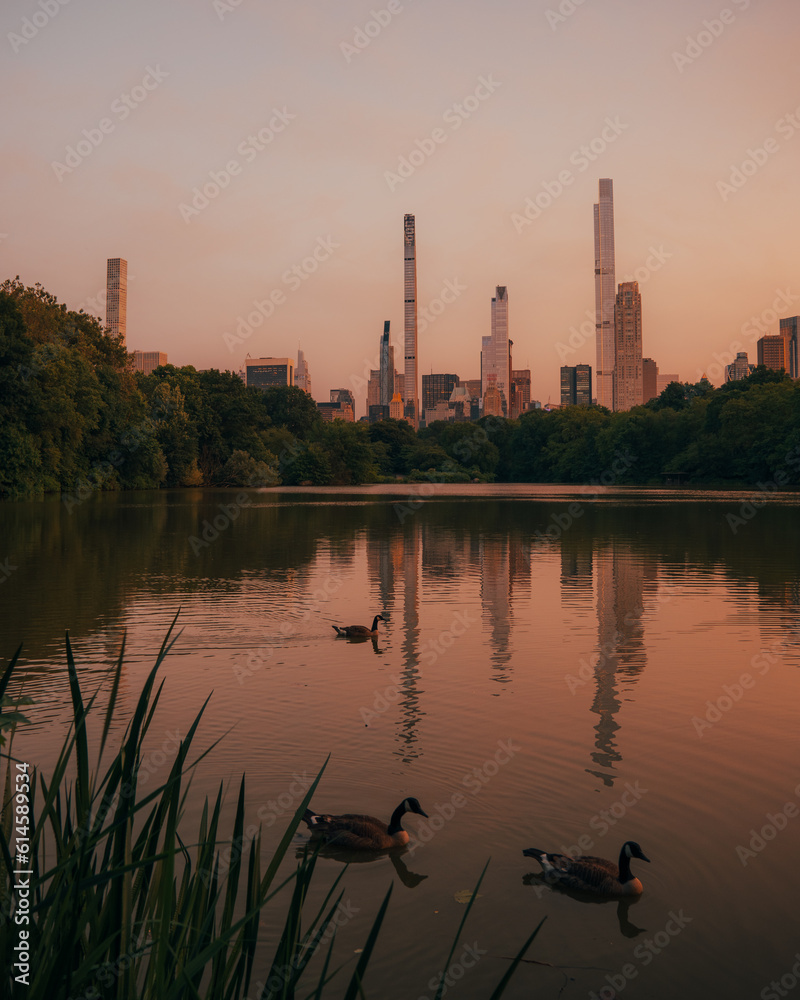 Canvas Prints View of the skyline of Midtown Manhattan and The Lake at Central Park, Manhattan, New York