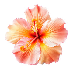 Obraz na płótnie Canvas tropical flower isolated on a transparent background, generative ai