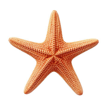 starfish isolated on a transparent background, generative ai