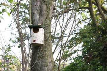 Beautiful wooden birdhouse hanging on tree trunk in forest
