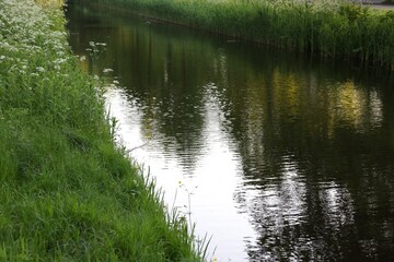 Beautiful view of channel with green reeds outdoors