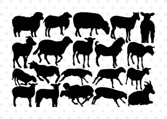 Sheep Silhouette, Sheep SVG, Buck Sheep Svg, Cheviot Sheep Svg, Columbia Sheep Svg, Rambouillet Sheep Svg, Female Bighorn Sheep Svg, Sheep Bundle, SB00318