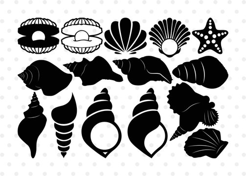 Seashell Silhouette, Seashell SVG, Shell Svg, Scallop Fish Svg, Cockle Svg, Starfish Svg, Seashell Bundle, SB00316