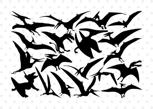 Pteranodon Silhouette, Pteranodon SVG, Pteranodon, Dinosaur Svg, Dino Svg, Flying Pteranodon Svg, Pteranodon Bundle, SB00307