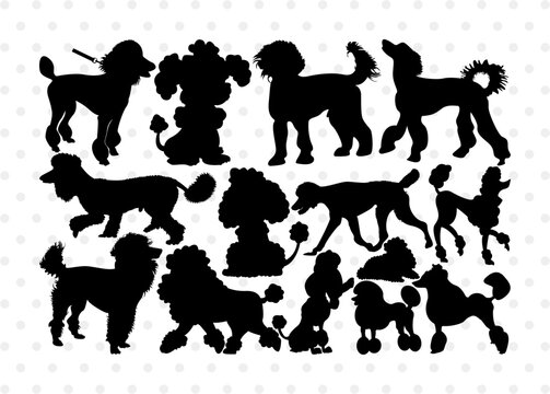 Poodle Silhouette, Poodle SVG, Poodle, Poodle Dog Svg, Dog Svg, Pet Dog Svg, Poodle Bundle, SB00306