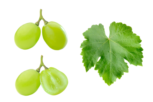 Set of cutout fresh Shine Muscat grape and leaf isolated on transparent background, PNG file.