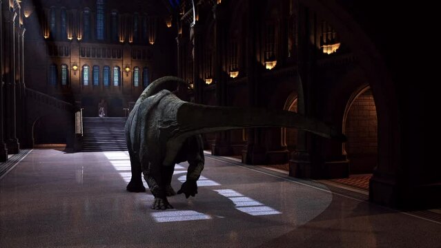 Diplodocus long neck dinosaur walking inside the museum during the night, herbivore dinosaur hologram