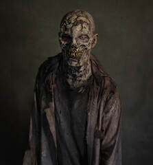 Male Decayed Skeletal Zombie