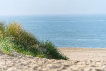 Crédence de cuisine en verre imprimé Mer du Nord, Pays-Bas Sand dunes with marram grass and empty beach on Dutch coastline. Netherlands in overcast day. The dunes or dyke at Dutch north sea coast