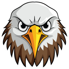 Hawk Face Cartoon Character