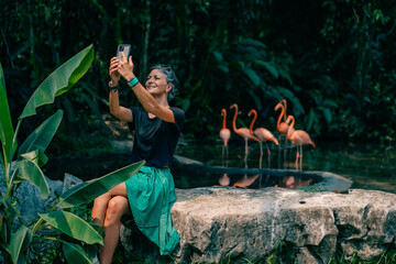 tourist are looking for Group of pink flamingos in the jungle. mexico - may 2023