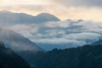 Mindo cloud forest at sunrise in fog and mist, Mindo, Quito, Ecuador.