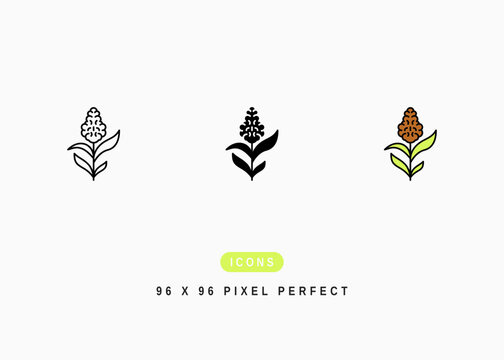 Sorghum Icon. Sorgo Grass Leaf Symbol Stock Illustration. Vector Line Icons For UI Web Design And Presentation