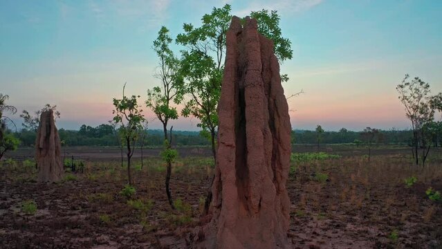 Australia outback termite mound in desert. Northern Territory travel destination