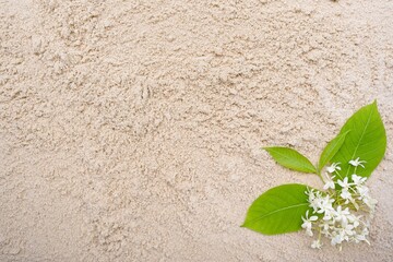 Kurchi, Easter tree on sand background.