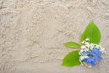 Top view plumbago blue flower on sand beach with copy space for your design.