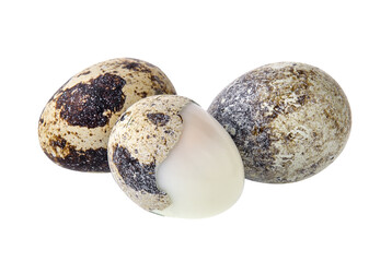 Obraz premium quail eggs isolated on transparent png