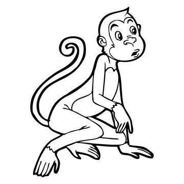 monkey line vector illustration