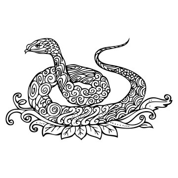 snake vintage decoration vector illustration