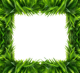 Fototapeta na wymiar green grass leaf frame, isolated on transparent background, generative ai