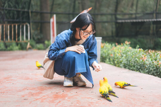 Adult traveler asian woman feeding sun conure parrot travel activity at zoo