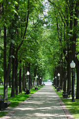 Fototapeta premium A beautiful alley in the park with lanterns and benches along the pedestrian sidewalk, neatly paved with paving slabs.