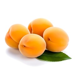Isolated apricots. Fresh apricot fruit isolated on white background