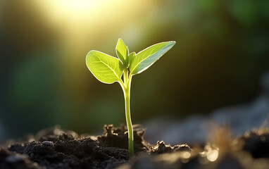 Close-up young small plant growing in garden in sunlight. Growing concept. Generative AI