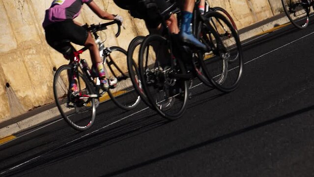 Cape Town cycle tour around the peninsula