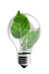 Lamp with green leaf in light bulb isolated on transparent background. Generative AI.