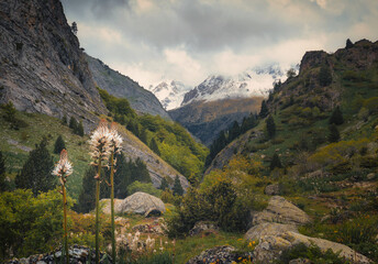 Broto y Pirineo de Huesca