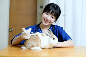 ウサギに注射をする女性の獣医