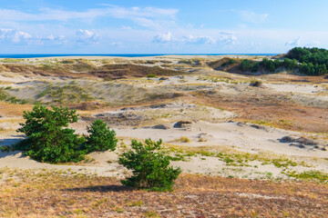 Curonian Spit summer landscape, sandy coastal dunes on a sunny day
