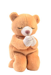 Teddy bear isolated on white