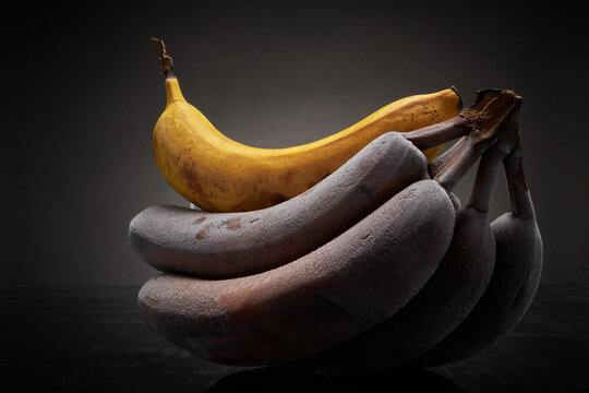 Solitary ripe banana and several bad ones