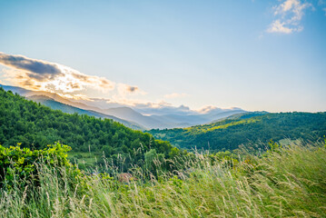 Fototapeta na wymiar green hills covered with forest in the mountain range in the morning time in summer. countryside. mountain view sunny day. wonderful summer landscape in the mountains. grassy field and hills. 